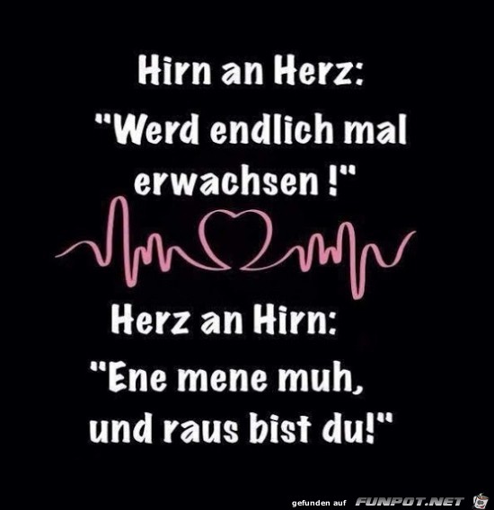 Hirn an Herz:..... Hirn an Herz:.....