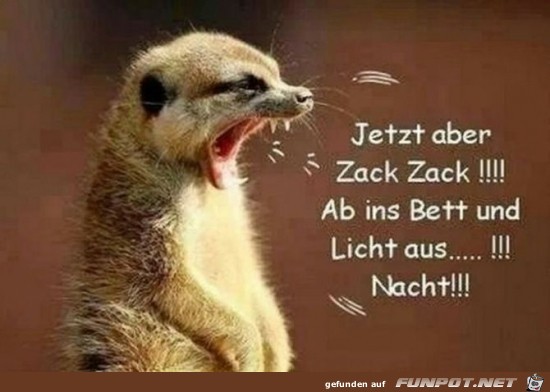 jetzt aber zack, zack......