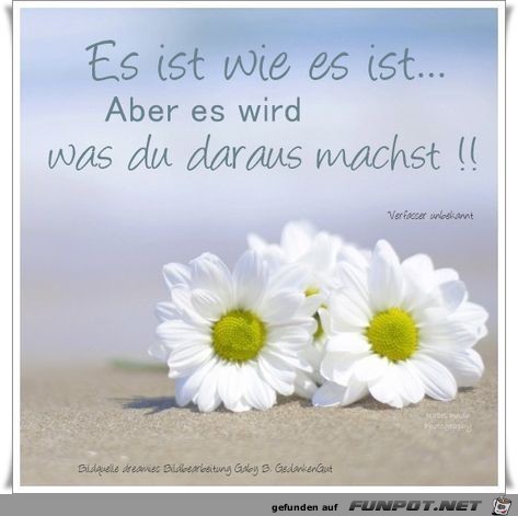 es ist ist