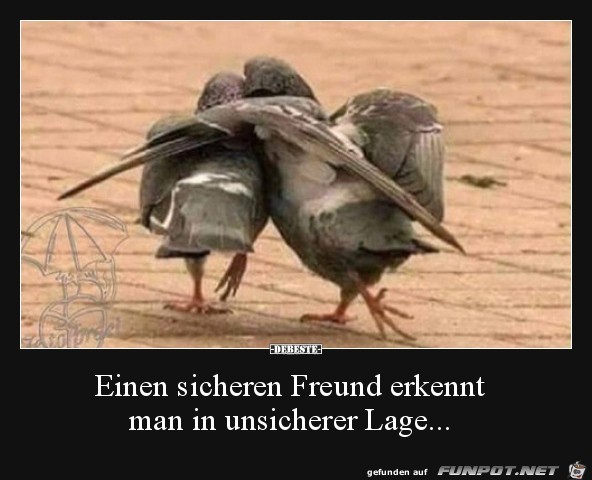 einen sicheren Freund........