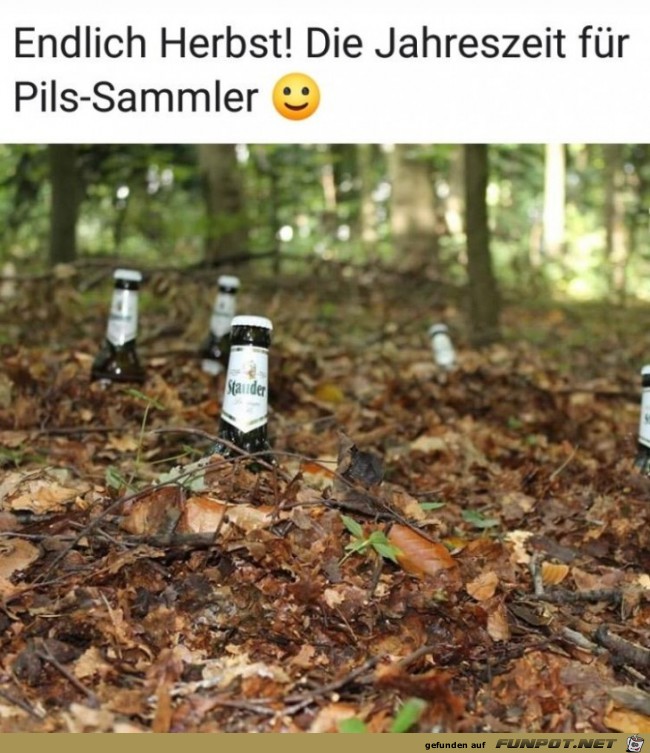 Endlich Herbst !! Die Jahreszeit fr Pils- Sammler