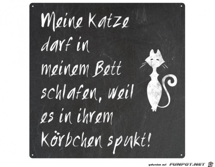 im Körbchen spuckt es ! im Körbchen spuckt es !