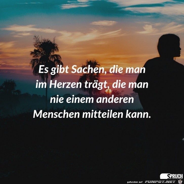 es-gibt-sachen-die-man-im-herzen-traegt-die-man-nie-einem-an