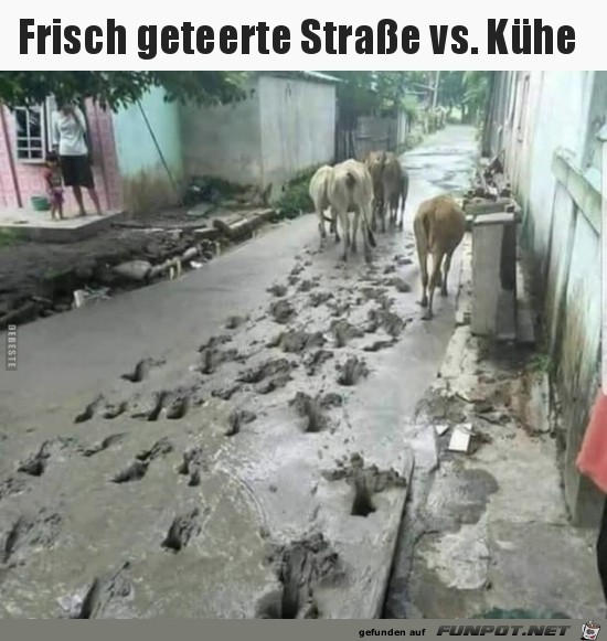 frisch geteerte Strasse......