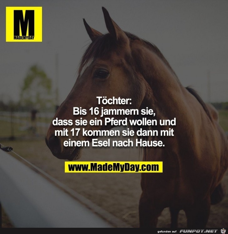 Toechter Toechter