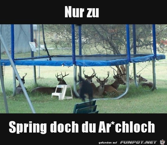 spring ruhig spring ruhig