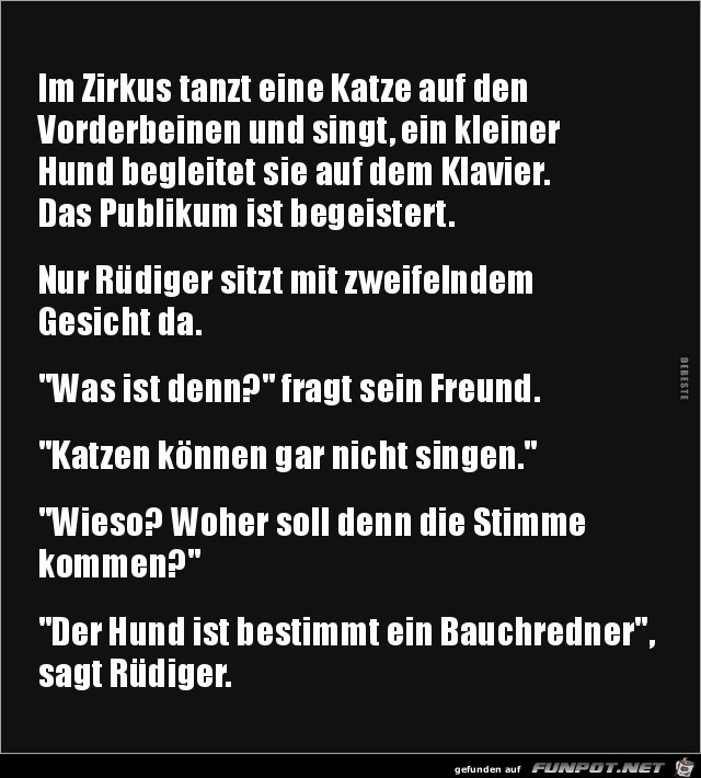 im Zirkus tanzt einee Katze im Zirkus tanzt einee Katze
