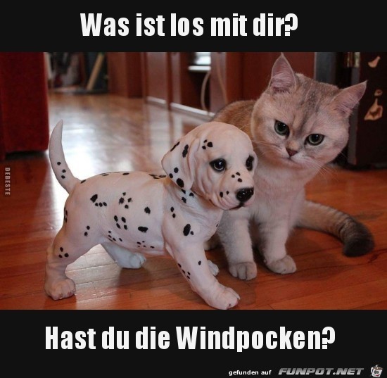 was hast du was hast du
