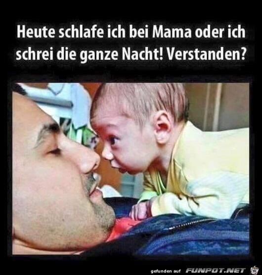 verstanden verstanden