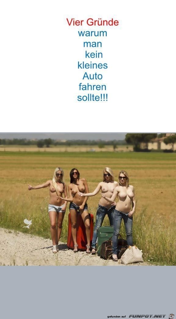 vier gruende vier gruende