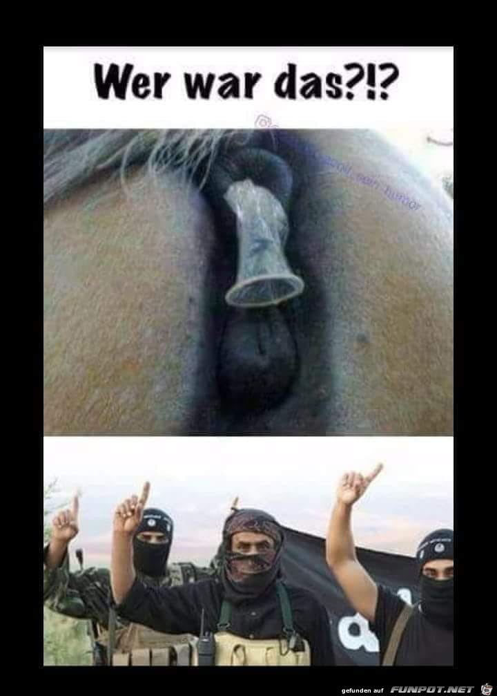 Wer war das? Wer war das?