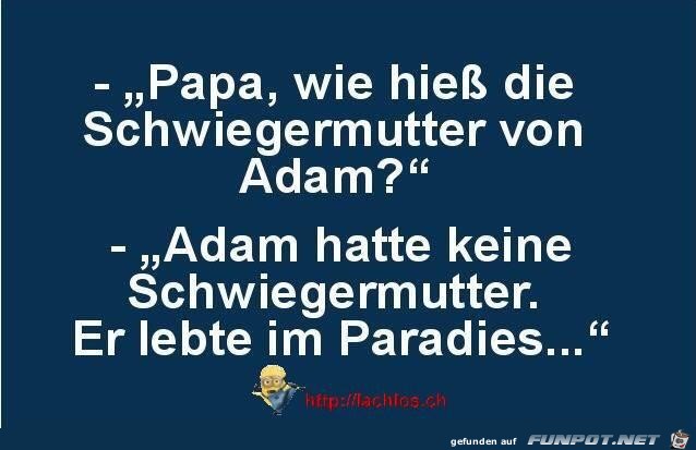 Schwiegermutter Schwiegermutter