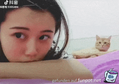 Einfühlsame Katze Einfühlsame Katze