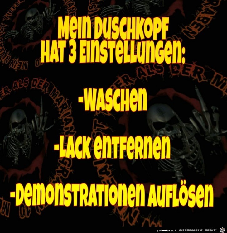 Der Duschkopf Der Duschkopf