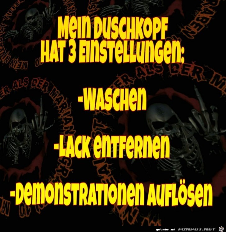 Der Duschkopf