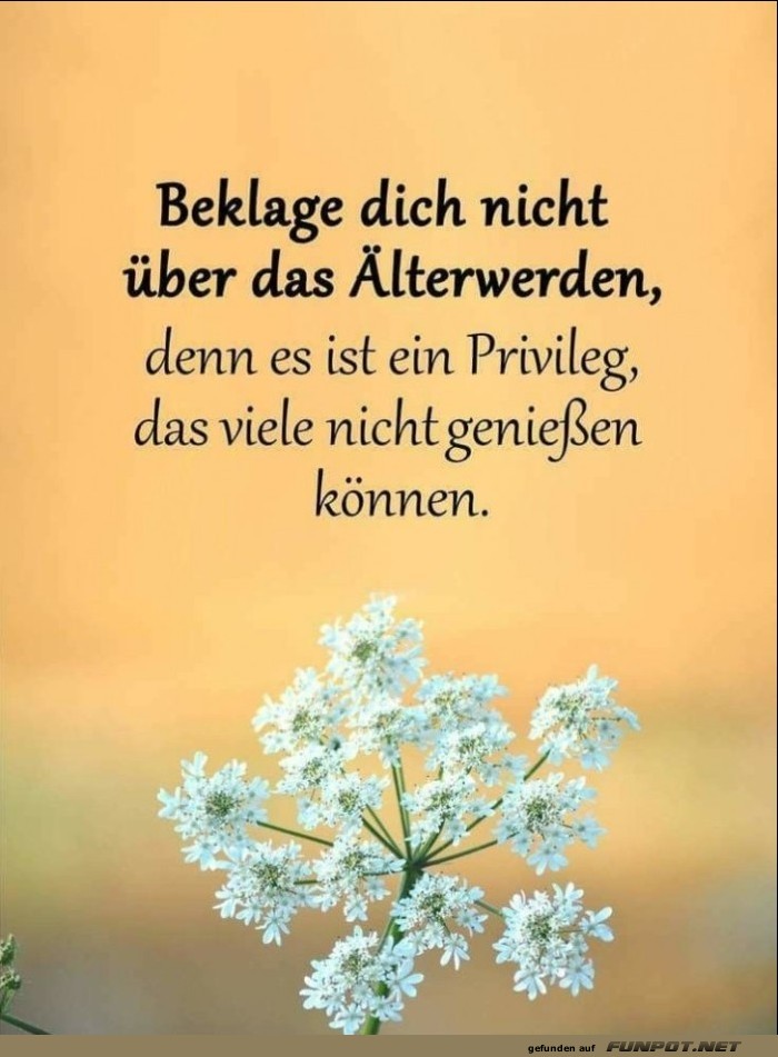 10 schne Sprche und Lebensweisheiten aus...