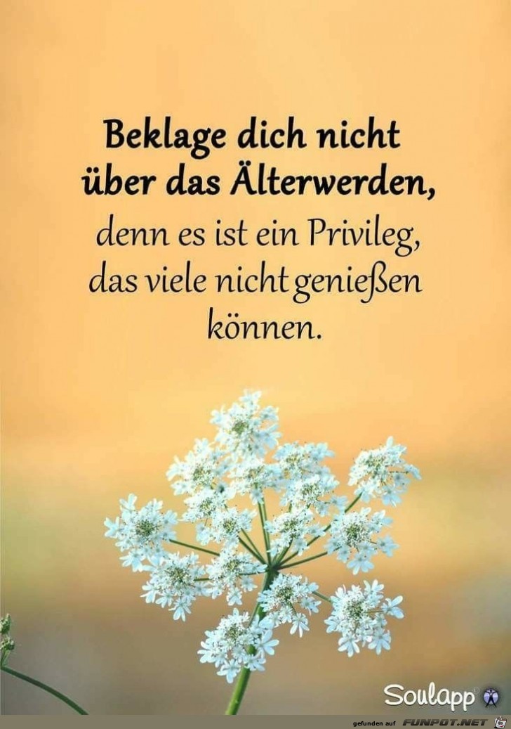 beklage dich nicht beklage dich nicht