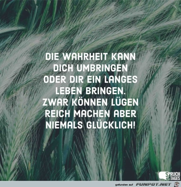 die-wahrheit-kann-dich-umbringen-oder-dir-ein-langes-leben-b die-wahrheit-kann-dich-umbringen-oder-dir-ein-langes-leben-b