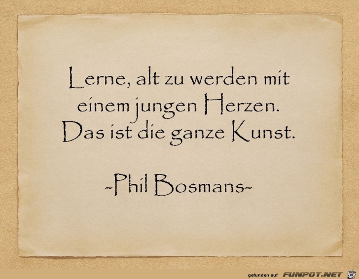 lerne alt zu werden lerne alt zu werden