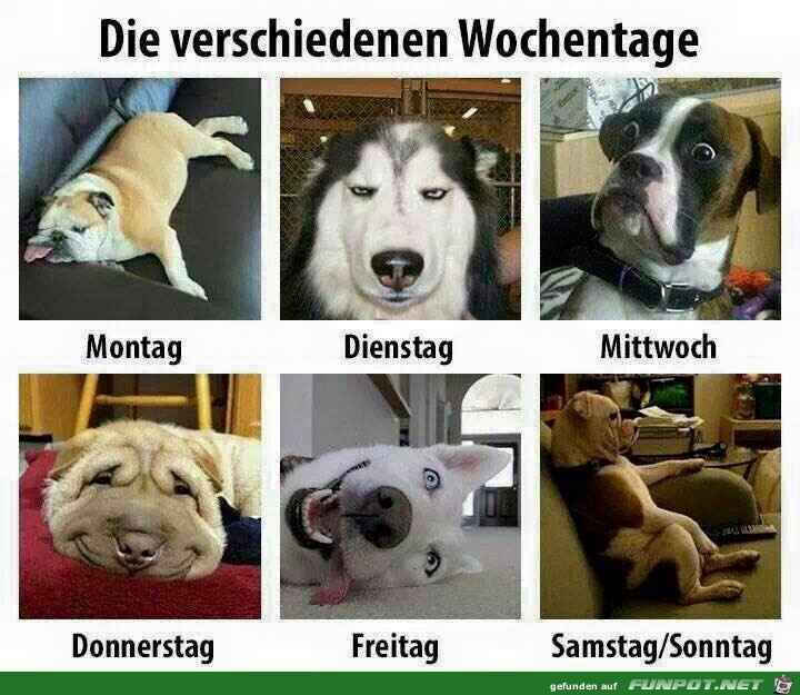 Wochentage