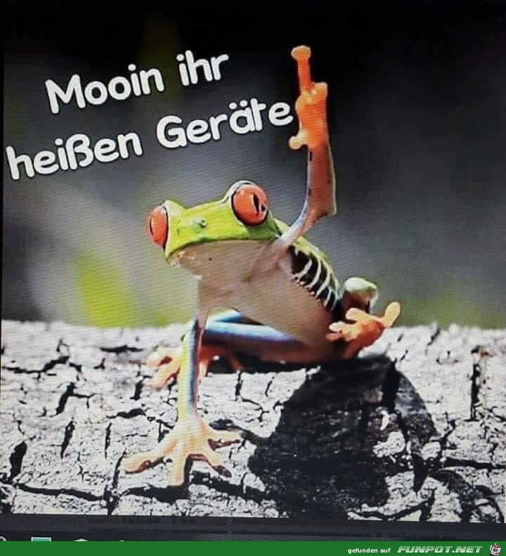 Guten Morgen