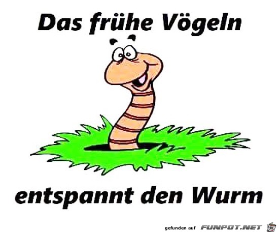 das frhe Vgeln......