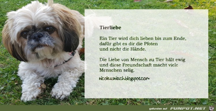 Gedicht - Tierliebe Gedicht - Tierliebe