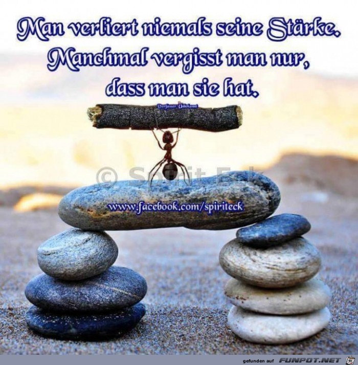 man verliert niemals man verliert niemals
