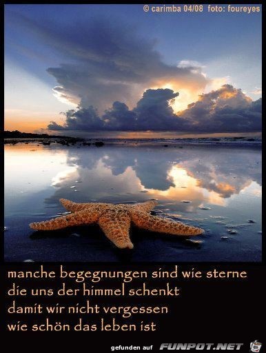 manche begegnungen manche begegnungen