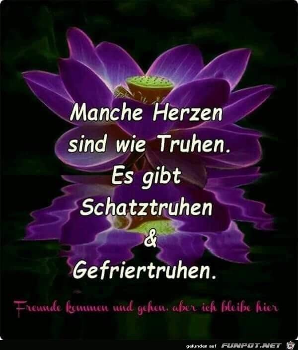 manche herzen sind manche herzen sind