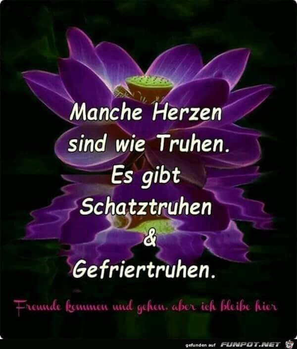 manche herzen sind