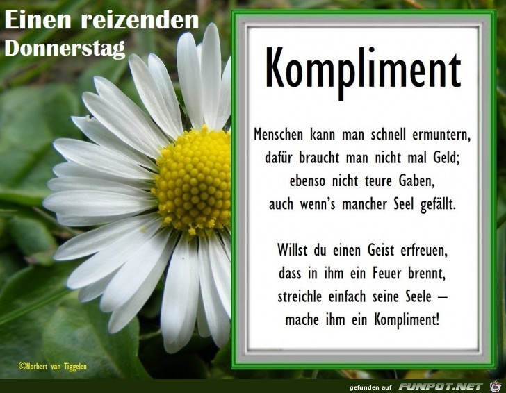 Kompliment am Donnerstag 2018 Kompliment am Donnerstag 2018