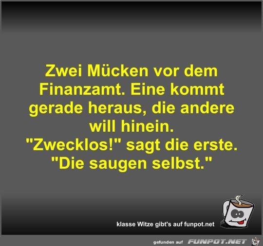 Zwei Mücken vor dem Finanzamt Zwei Mücken vor dem Finanzamt