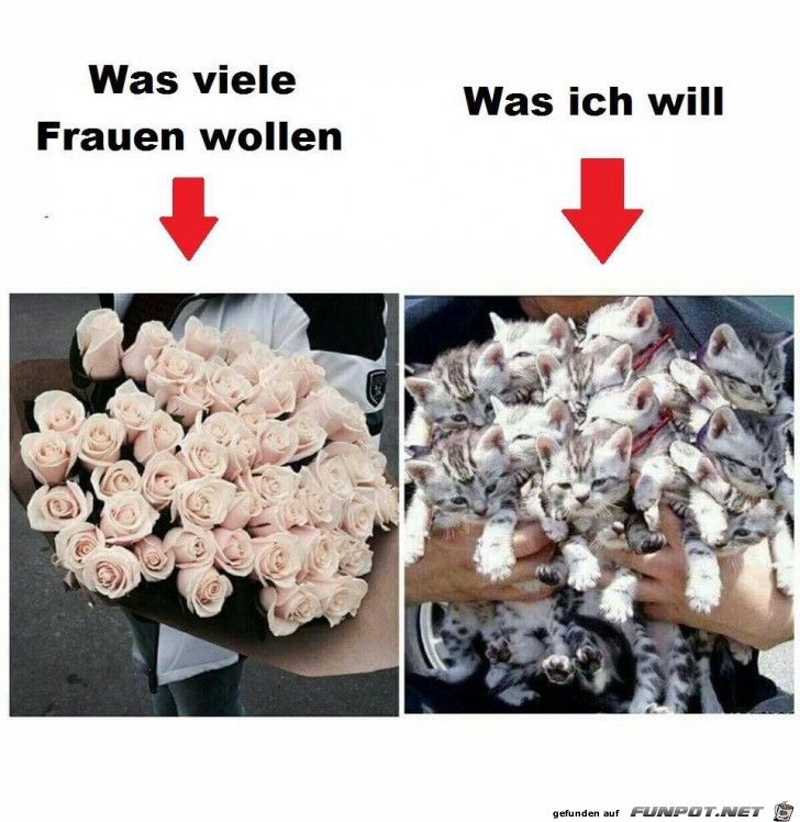 Was viele wollen Was viele wollen