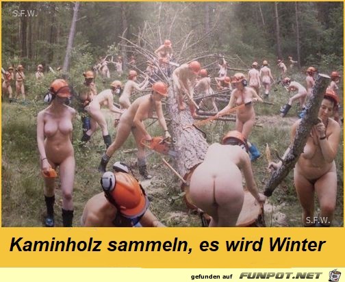 Kaminholz Kaminholz