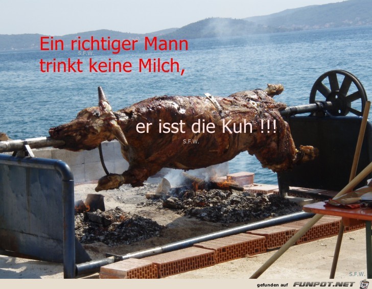 milch-kuh