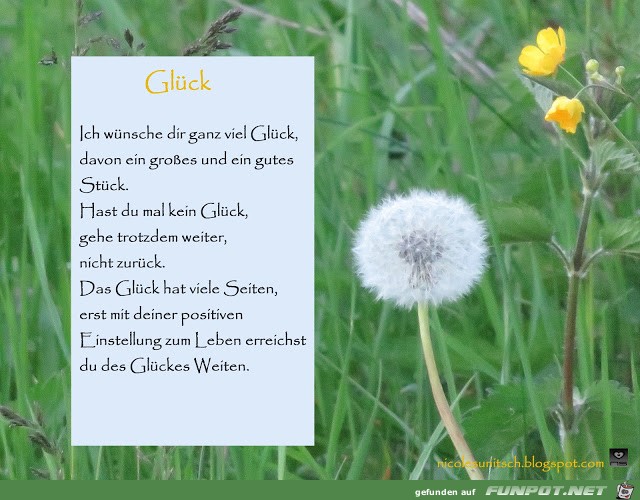 Gedicht - Glück Gedicht - Glück