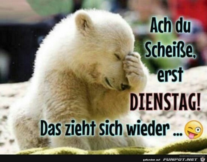 Dienstag Dienstag