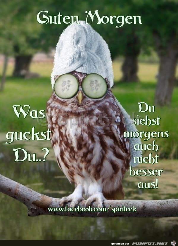was guckst du was guckst du