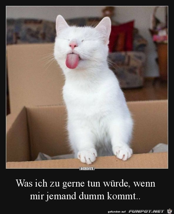 was ich zu gern was ich zu gern