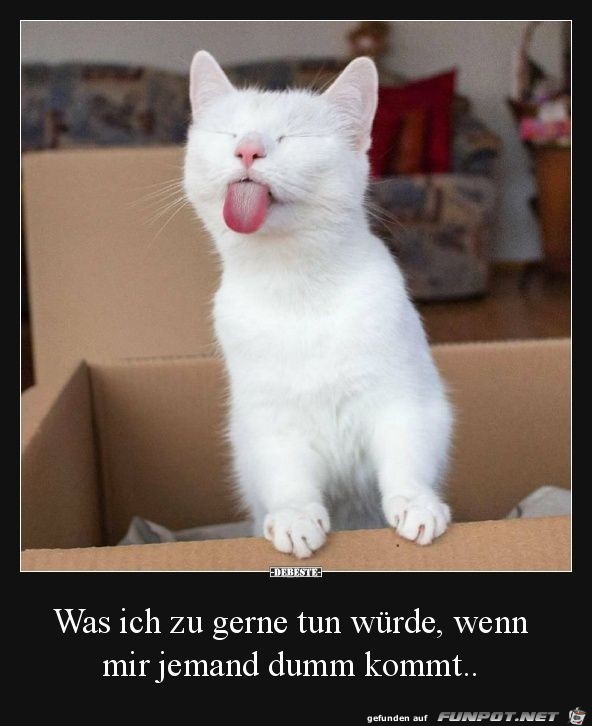 was ich zu gern