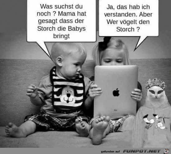 was suchst du noch was suchst du noch