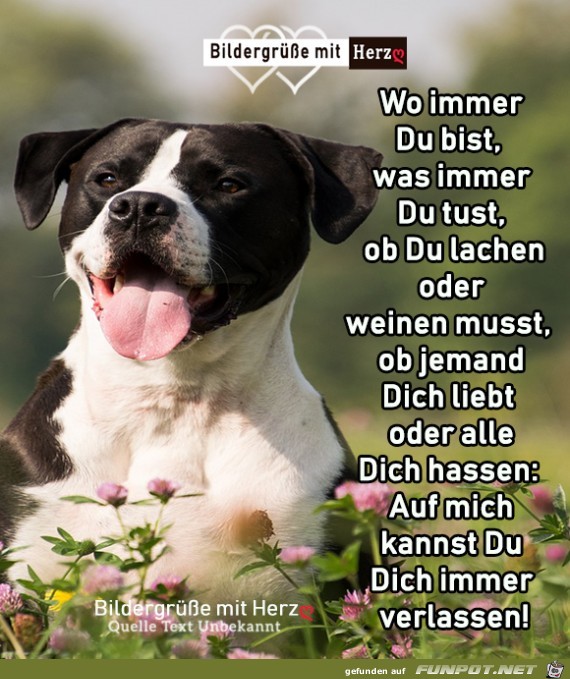 Wo immer du bist Wo immer du bist