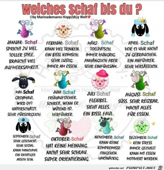 welches schaf welches schaf