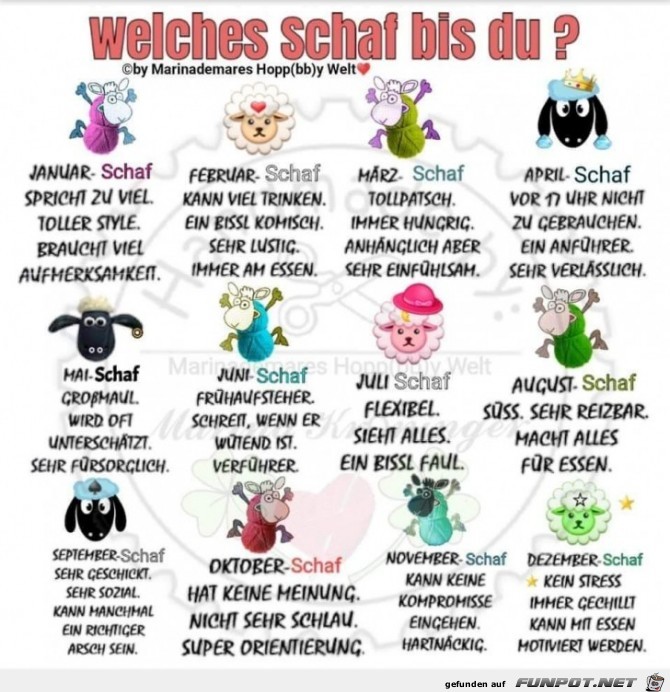 welches schaf