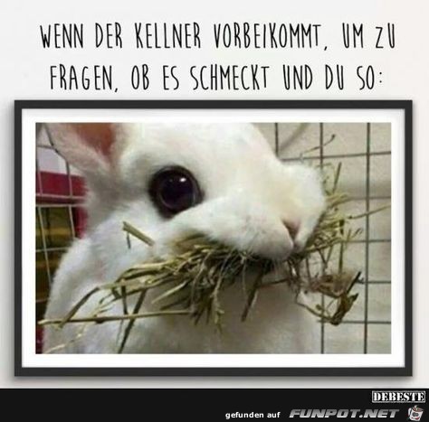 wenn der Kellner vorbei kommt wenn der Kellner vorbei kommt