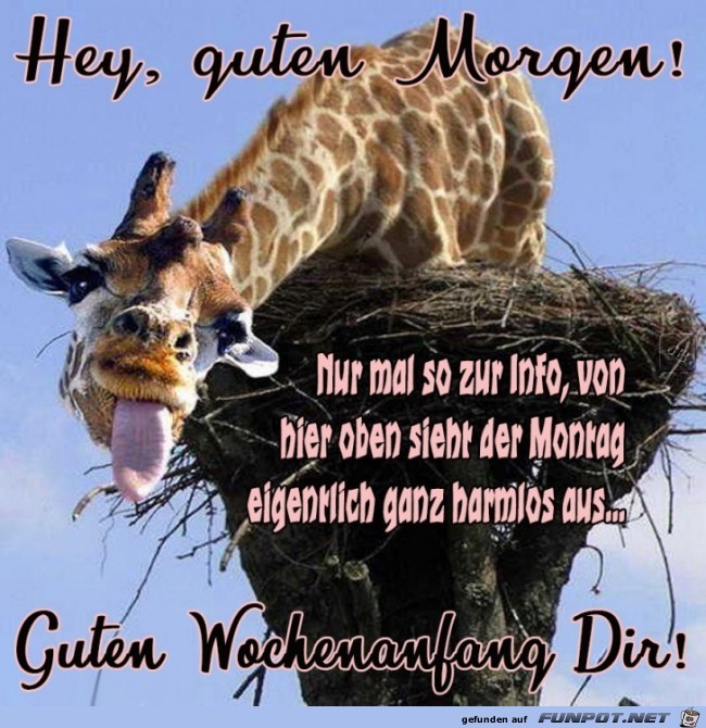 Montag Montag