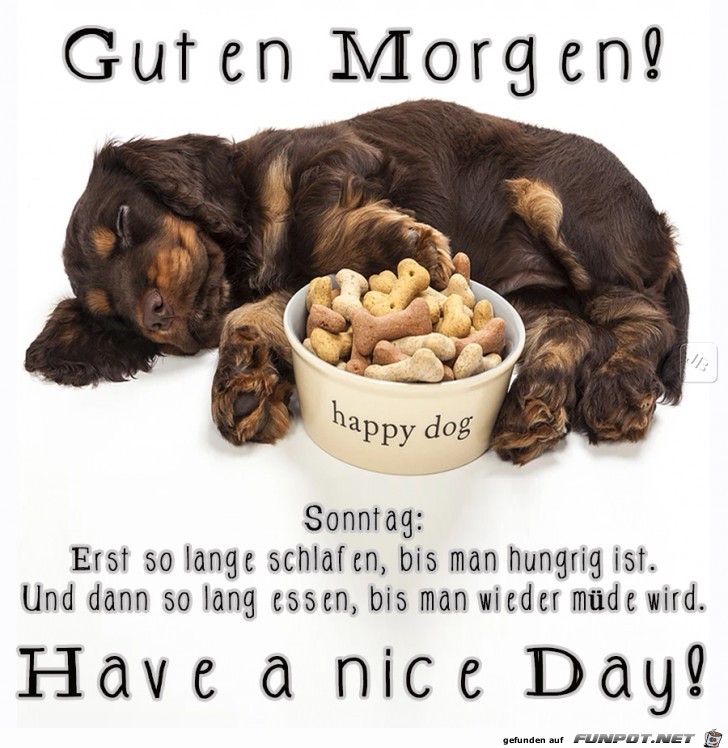 Sonntag Sonntag