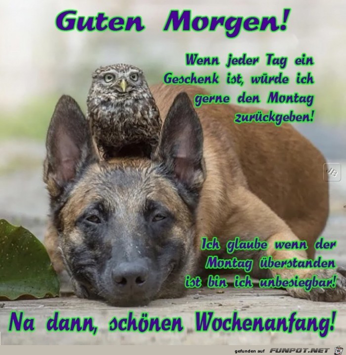 Montag Montag