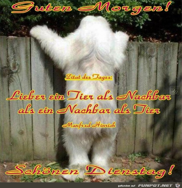 Dienstag Dienstag